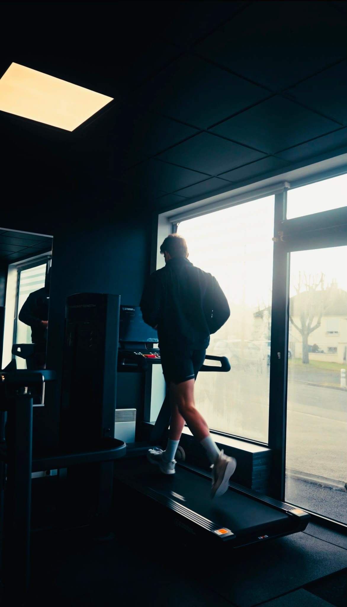 Zone cardio, tapis de course en lumière naturelle